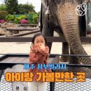 캐논스빌리지입구 1 | 제주 아이와 가볼만한 곳 점보빌리지 코끼리 공연, 아이 반응 찐후기, 고려할 점