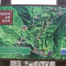 대공산성 등산로 이미지