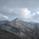 천년가요 이미지
