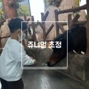 청주 아이와 가볼만한곳 실내동물원 쥬니멀 초정행궁점