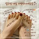 미대언니들 애견샵 | 압구정 네일 서영언니네일샵 | 연예인도 다니는 곳 버건디 패디(애견동반/무료주차)