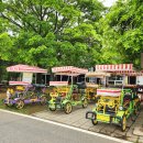 호명입구 이미지