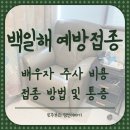 감염내과 교수에게 듣는 감염병으로부터 우리 아이 건강 지키기 | 일산 차병원(28주차) : 백일해 예방접종 비용 및 통증, 남편 백일해 주사 중요성과 접종 방법