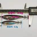 반월낚시
