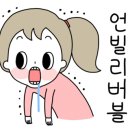 장원체육관 이미지