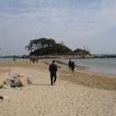 진하해수욕장 이미지