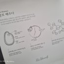 웅이식탁 네이버블로그