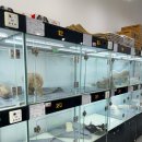 버디독 강아지분양 안심분양센터 김포점 | 김포강아지분양 필수 체크리스트와 버디독 안심분양센터 김포점 선택 기준 안내