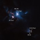 황소자리