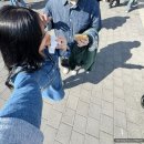 고려리프트 | 서울대공원 벚꽃 리프트 주말 방문 후기 | 주차 발렛 꿀팁 소요시간