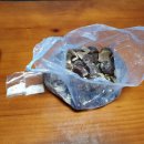 유성분식 이미지