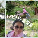 웰다잉 교육전문지도자 이미지