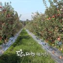 정읍시 농업기술센터 이미지