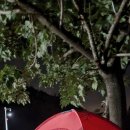 하늘호수민박 이미지