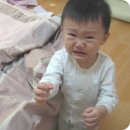수&호