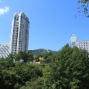 봉평메밀숲 이미지