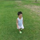 한강시민공원 난지지구(난지한강공원) 티스토리