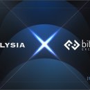 엘리시아 이미지