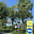 이금자소아과의원 | 화이자 1차,2차 후기 (+ 카페 투어)