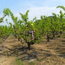 청룡농장 이미지