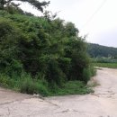 여주-1006 이미지