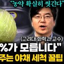 채소 과일 세척법 이미지