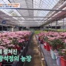 국민농장 이미지