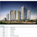 일동미라주 이미지