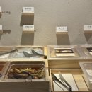 샤브남바완(남포직영점) 이미지