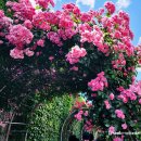 동일로163길 (16) 이미지