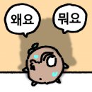 아인투 펜션 이미지