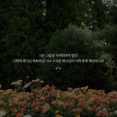 얄미운 스물셋 아직 한참 멀었다 얘🧞