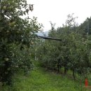 석화농원 이미지