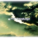 모닝스타 이미지