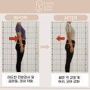 유이네스 이미지