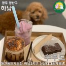 3지구에 생긴 신상 디저트카페! 쫀득한 브라우니에 시그니처음료 후기! 애견동반도 가능하답니다 -&#39;수우드&#39;