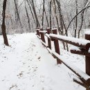 태영아파트 버스정류장 이미지