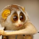 아이아이 이미지