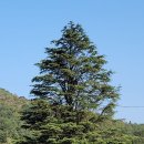 도천에너지 이미지