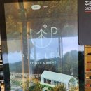 송진목장 | 평창 아이와 가볼 만한 곳, 휘닉스파크 근처 잣나무 숲 대형카페 '파인리프' 텐트존 후기!