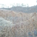 태백건재 이미지