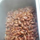 간닥장어구이