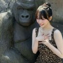 미녀와야수 이미지