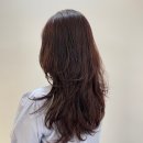 아라살롱 이미지