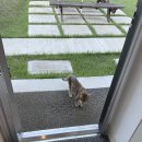 달빛자락 이미지