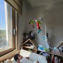 송강프라자약국 | 5월 6일의 일기 - 터미타임 고민 / 송강미소내과 방문 / 구본환 대전시의원 후보 선거사무실 구경(관평...