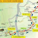 제 41회 대관령 제왕산 산행안내(1월 24일) 이미지