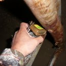 산속목장 이미지