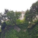 시티은행 건너편 이미지