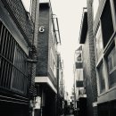 코지(Coze) 네이버블로그